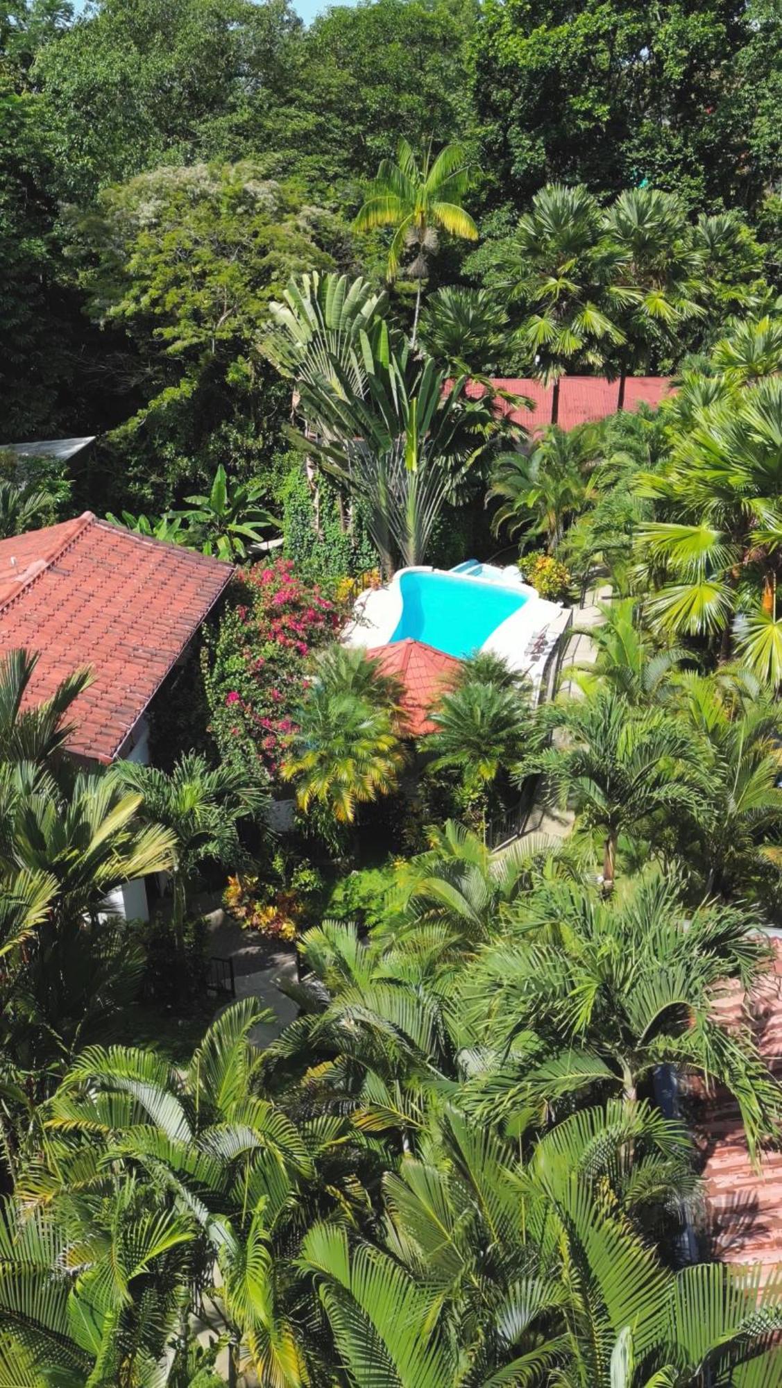 The Scarlet Villas Ojochal Exterior photo